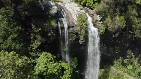 Drone view of gorgeous Waterfall in Rainforest, Australia, QLD, Springbrook Stock Footage 236537345