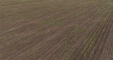 Drone view of grain planting machine in Luís Eduardo Magalhães, MATOPIBA Stock Footage 316086643