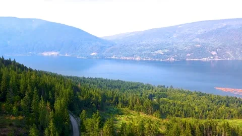 Drone view of green amazon forest and lake Video stock 255108129