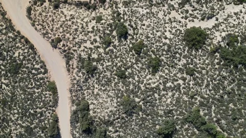 Drone view of green desert, beach and coastline Stock Footage 257278129