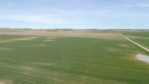 Drone view of green farm fields in Madrid, Spain (2) Stock Footage 111964050