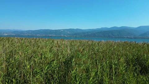 Drone View of Green Field Near Mountain Landscape Stock Footage 342345075