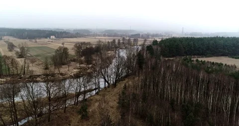 Drone view of green forest and river Stock Footage 101365326