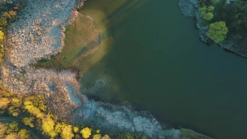 Drone view of a green lake in the forest Stock Footage 155758759