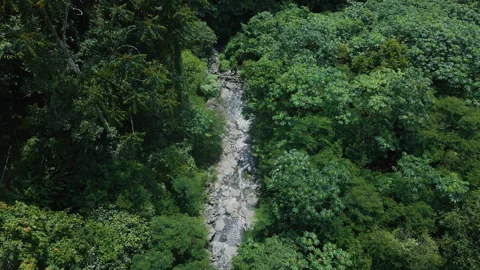 Drone View of Green Mountain River Stock Footage 309332769