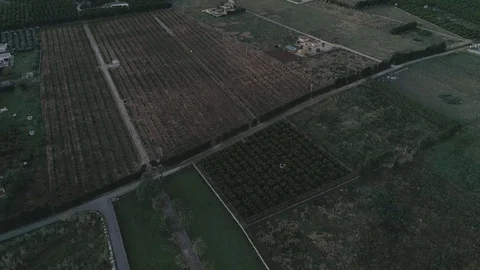 Drone view of green orchard fields in Alicante, Spain Stock Footage 111964373
