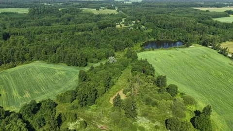 Drone view of green rural fields, dirt road, tree lines, forest patches, hay Stockbeeldmateriaal 339086188