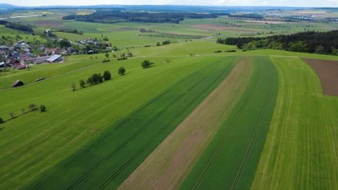 Drone view of green spring fields and rural village on a sunny day. Stock Footage 336678233