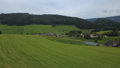 Drone view of green spring fields and rural village on a sunny day. Stock Footage 336678538