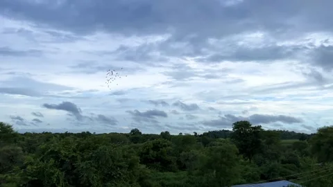 Drone View of Green Trees with Colorful Cloudy Sky in Rainy Season Видео 315420671
