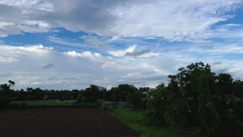 Drone View of Green Trees with Vibrant Colorful Sky, Scenic Nature Landscape 스톡 동영상 315420740