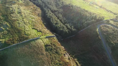 Drone view of Green Woods Fields Old Demolished Wall Ireland Aerial Nature Stock Footage 168493340