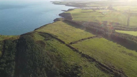 Drone view of Green Woods Fields Sea Ireland Aerial Nature Stock Footage 168493370