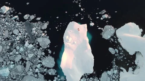 Drone view of a group of people standing on a large iceberg in Antarctica Stock-Footage 321611197