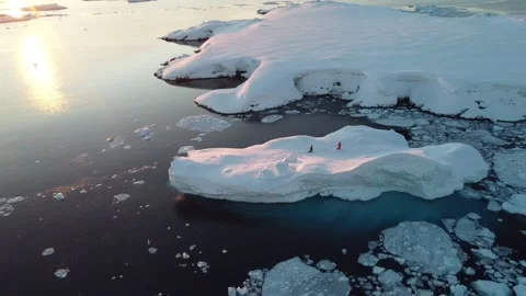 Drone view of a group of people standing on a large iceberg in Antarctica Stock-Footage 321611208
