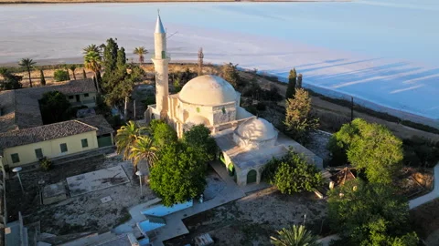 Drone view of Hala Sultan Tekke Mosque beside Larnaca Salt Lake in Cyprus. Stock Footage 341538344