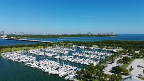 Drone view on harbor near Key Biscayne with many luxury yachts and sailboats Stock Footage 256779698