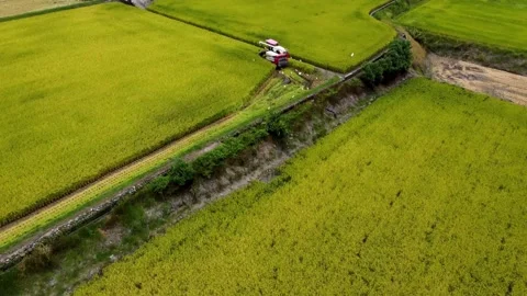 Drone view of harvest concept clip. Stock Footage 198201306