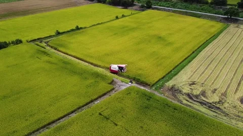 Drone view of harvest concept clip. Stock Footage 199195182