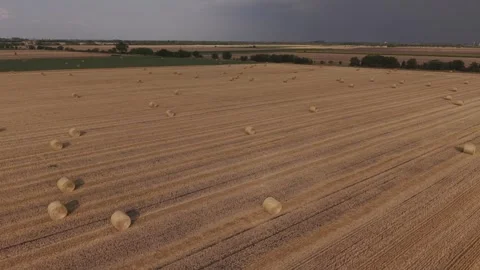 A drone view of a harvested wheat field covered with evenly spaced round hay Stock Footage 340567392