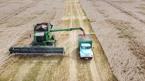 Drone view, harvester dumps wheat into a truck Stock Footage 159061192