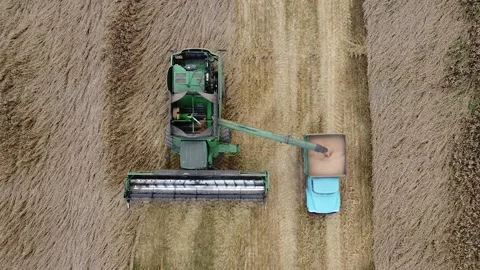 Drone view, harvester dumps wheat into a truck Video stock 159061337