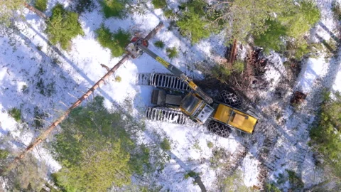Drone view of harvester in snowy forest cutting down and delimbing a Stock Footage 270262529