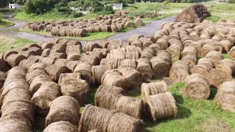 Drone view of haystacks prepared for winter Stock Footage 159060741