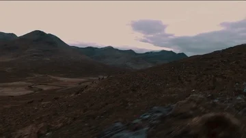 Drone View of a Herd of Deer Running up the Side of a Mountain Stock Footage 85754150