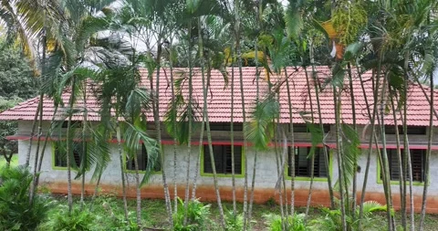 Drone view of hidden colonial house with red tile roof surrounded by lush j.. Stock Footage 319388706