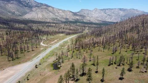 Drone view from high up looking down highway 4 with recent wildfire damage Foto stock