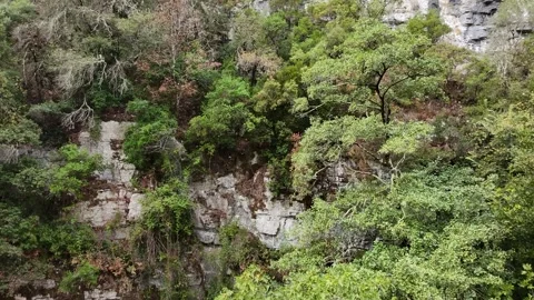 Drone view of a high rock face overlooking a small country stream Stock Footage 328243445
