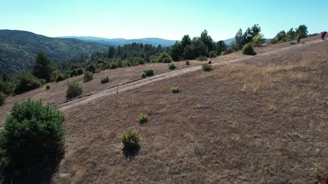 Drone view of hikers walking on a mountain path Video stock 194020311
