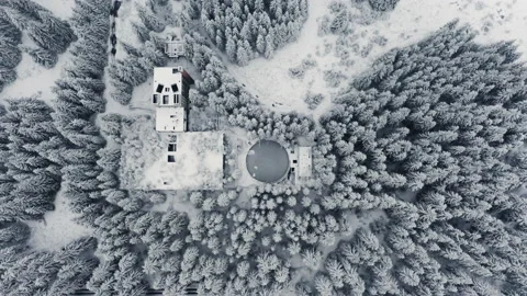 Drone View of Home Surrounded by Pine Tree Forest Covered with Snow In Winter Stock Footage 133265760