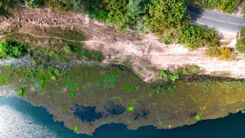 Drone view of Huay Lan lake landscape northern Thailand dry season Vidéo 331476642
