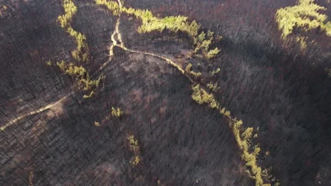 Drone view of huge fire damage. Stockbeeldmateriaal 159601619