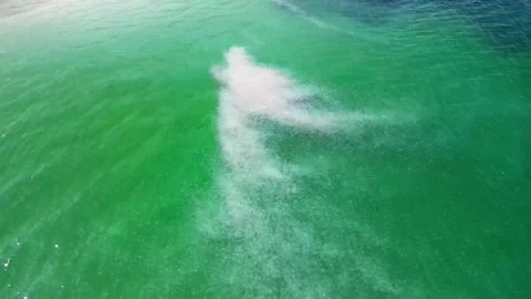 Drone view at Huge flock of jellyfish teeming in the green water of Black Sea, Video stock 284001487