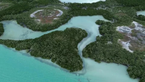 Drone view of the intersection of mangroves and ocean in Rio lagartos, Mexico Stock Footage 331519471
