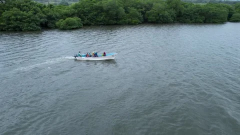 Drone view of invertebrate sampling in a scientific expedition to Video stock 242501601