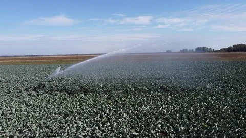 Drone view of an irrigation device in the field Stock Footage 161447745