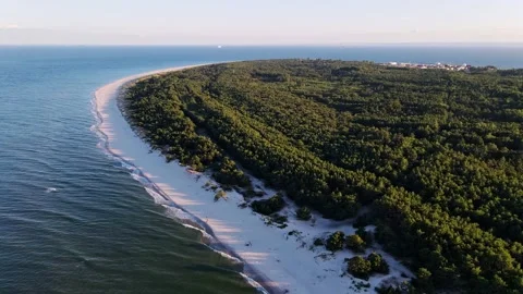 Drone view of island with forest in ocean Stock Footage 202187353