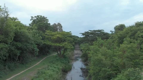 Drone view of the Jungle around Sukhothai, Thailand Stock Footage 111837899