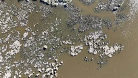 Drone view at karacabey floodplain (longoz) lake. Video stock 290168041