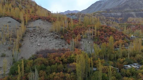 Drone view of Kargil valley painted in rich autumn colors Stock Footage 310661872