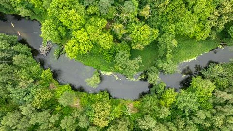 Drone view: Kayakers navigating a wild river, summer Poland. Stock Photos
