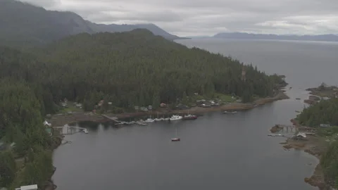 Drone View of Lake with Pine Trees Surrounding with Houses and Boats at Shore in Stock Footage 255319933