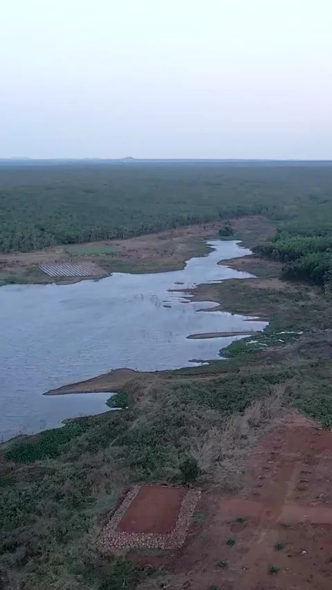 Drone view of lakes and forest on the large tranquil plain of Long Thanh Lakes Stock Footage 279599119