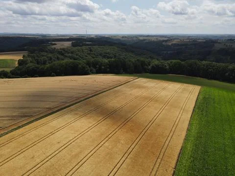 Drone view of a landscape with crop fields, corn fields and forest in summer Stock Photos