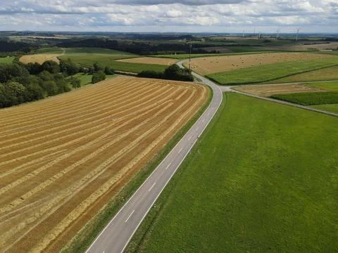 Drone view of a landscape with a road between fields in summer Stock Photos