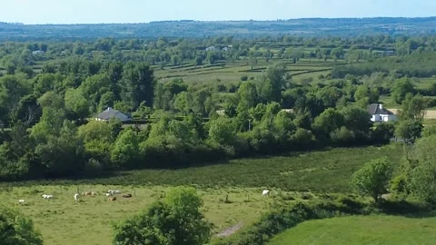 Drone view of the landscape of Roscommon, Ireland. Stock Footage 310054992